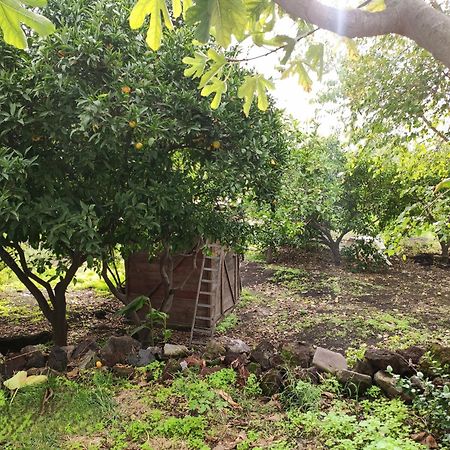 Ferienwohnung La Casa Di Nonna Ida Stromboli Exterior foto