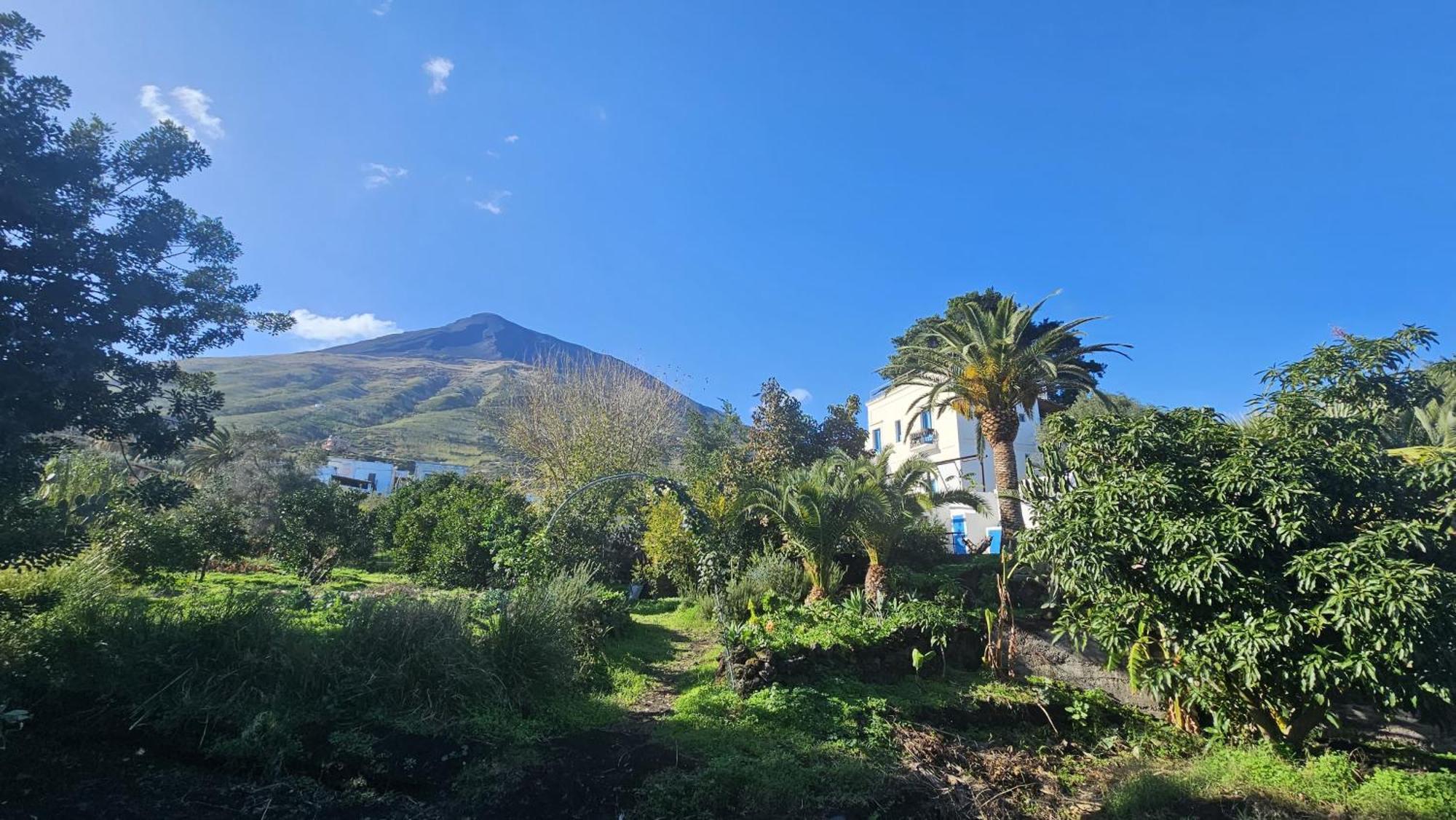 Ferienwohnung La Casa Di Nonna Ida Stromboli Exterior foto