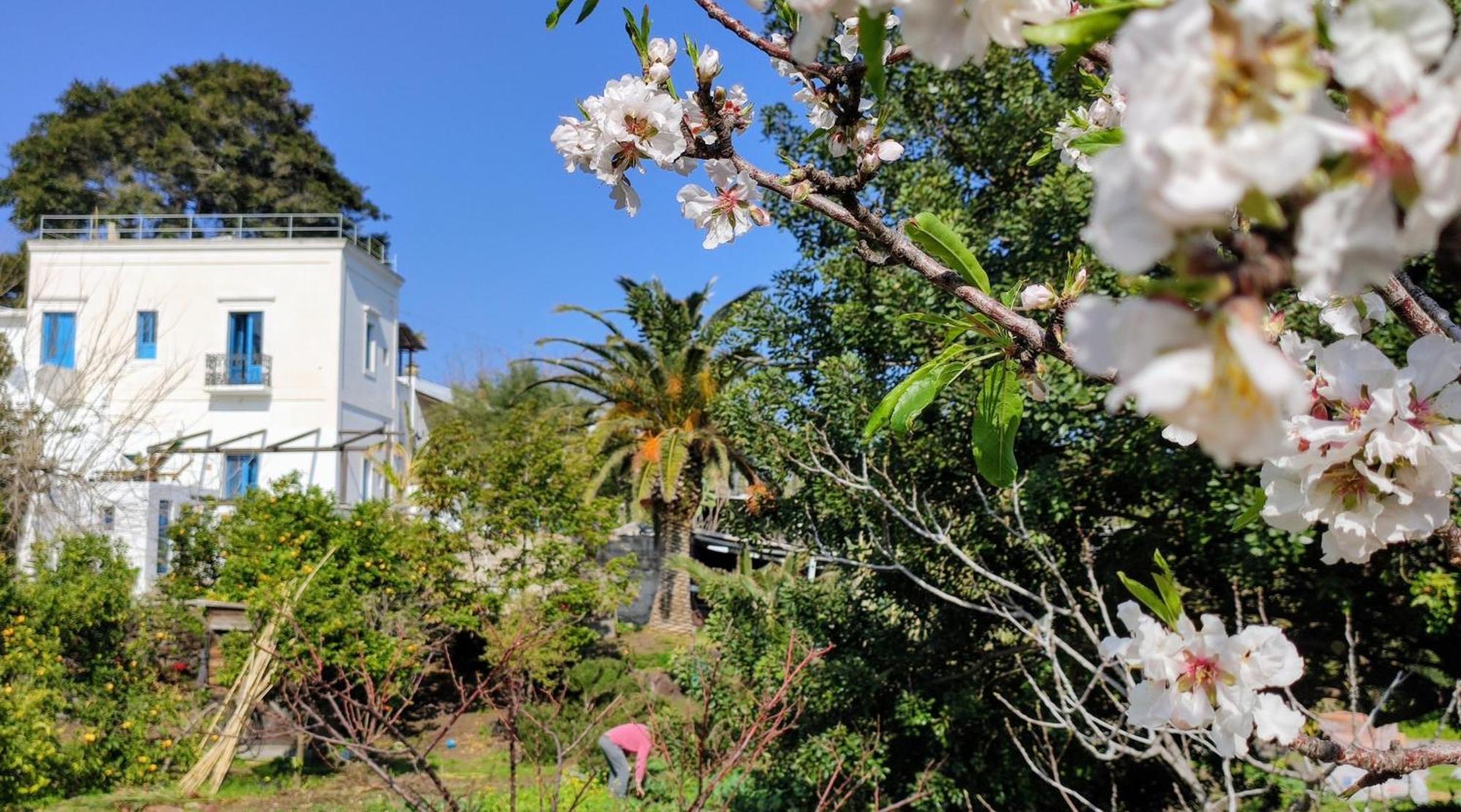 Ferienwohnung La Casa Di Nonna Ida Stromboli Exterior foto