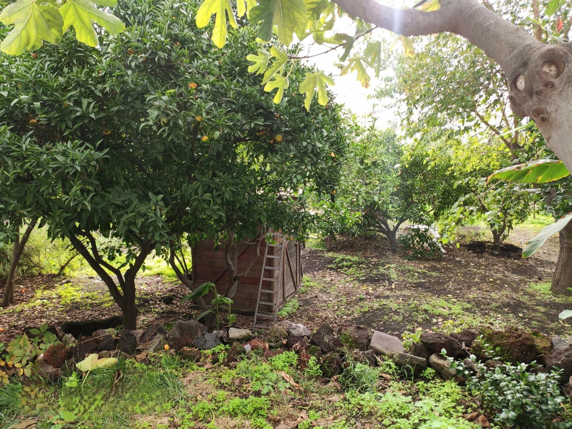 Ferienwohnung La Casa Di Nonna Ida Stromboli Exterior foto